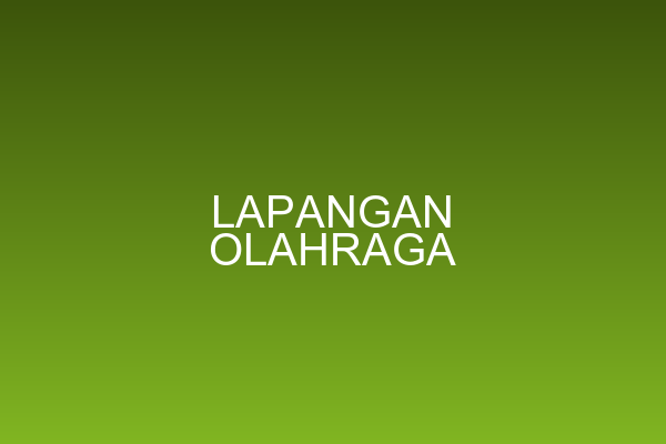 Lapangan Olahraga